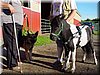 DSC00767.JPG